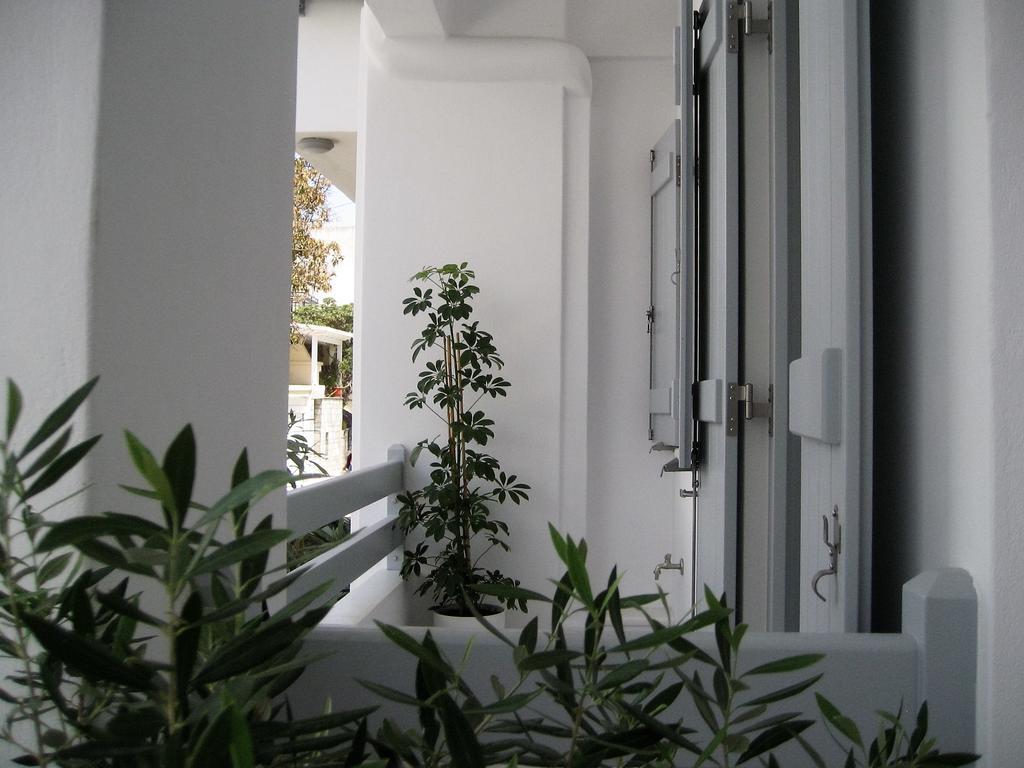 Aelia Apartments Naxos City Luaran gambar